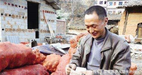 农村这一霸气的农作物，亩收入万元，却没人敢种，这是为何