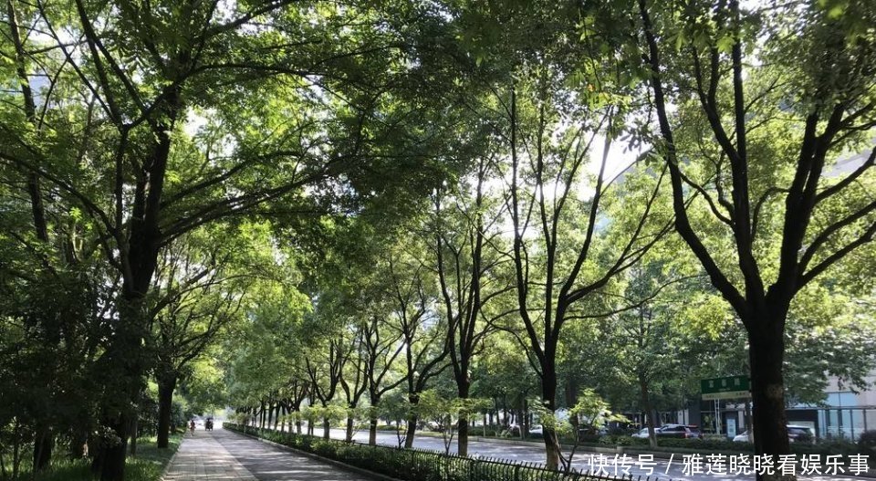  「珠海」中国绿化最好的城市，在你预料中吗