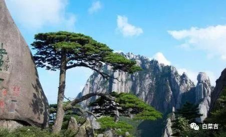 中国门票最贵的6大景区，每年游客还不少!全去过的都是土豪