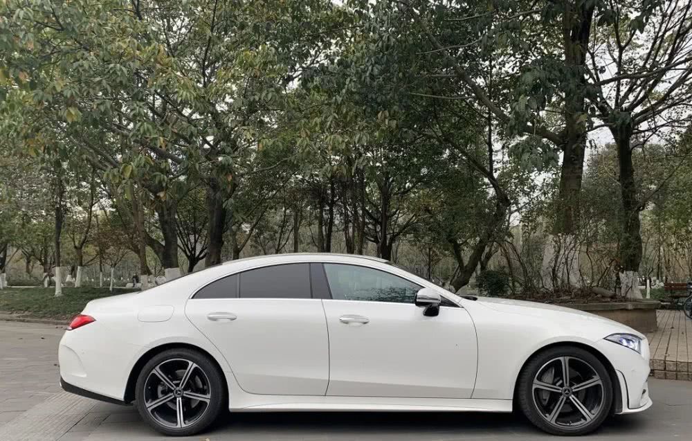 『动力』评测奔驰CLS3504MATIC80万买台四缸的四门轿跑车到底“疯不疯”