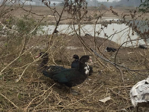  实力@广西最有希望冲击二线的城市，经济发展不如柳州，实力却比
