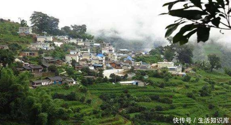 云南大山深处一村落：家家都住别墅，满山都是摇钱树收入不菲