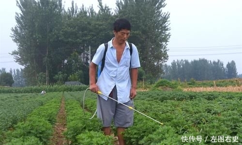  「年收入」农民种植特色作物20年，年收入近20万元，为啥年轻人