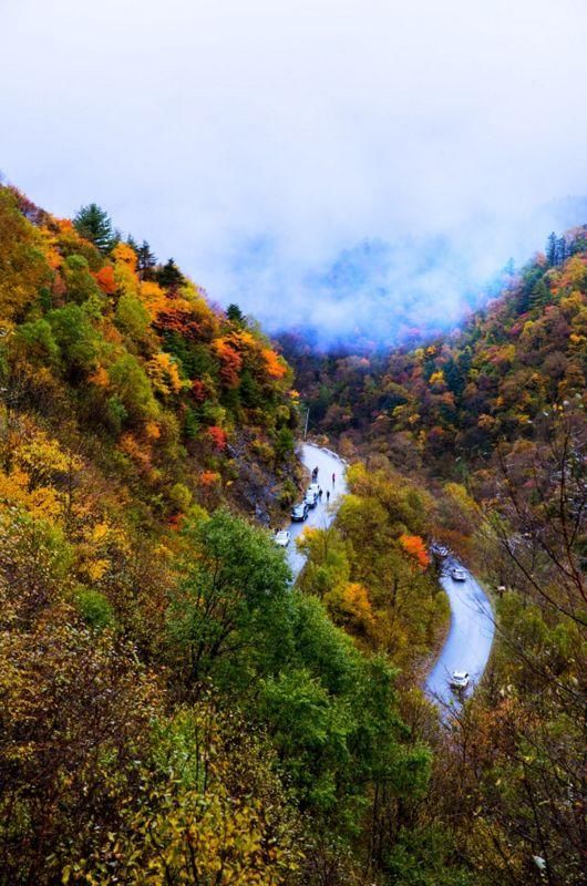 秦岭深藏敢与九寨沟媲美的地方！有条惊艳的自驾公路