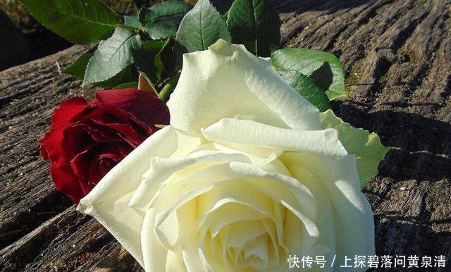  「心痛」有一种深爱，叫不能相伴一生，思念到心痛