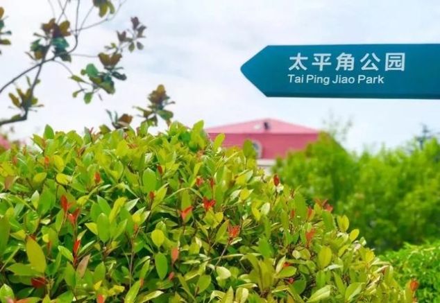 就在青岛！地铁直达、免费开放、紧邻八大关、隐蔽的小树林...这