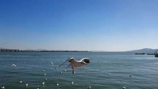 中国第一大高原深水湖，是国家一类饮用水源地