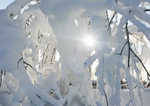 中国最冷村庄不在东北？这里气温低至-58℃，美景不输雪乡