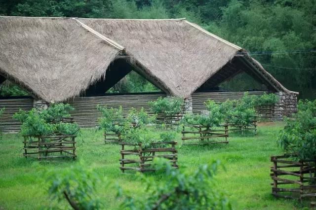 他在杭州打造了一个全中国最美的猪圈！纽约时报都报道了