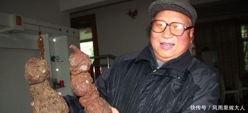 农民挖出这样的“树根”！专家说卖了够农民一家吃喝不愁一辈子