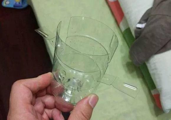  下次@不起眼的塑料瓶，养花的神器，什么都能干，下次可不要丢了