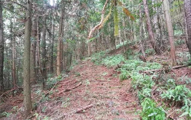  「大若岩镇」温州芙蓉岭古道，浙江省十大人文古道之一