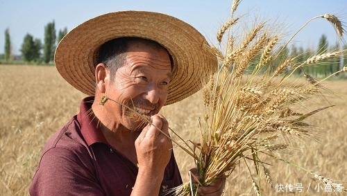 今年起，农村这5样东西已经被“叫停”，一旦逮到，小心罚款