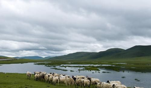 如果少缴纳一年的养老保险, 退休时会少多少退休金?