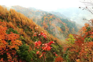 最是深秋时节落叶飘零水绵绵，四川真的是个宝地，风景美不胜收！
