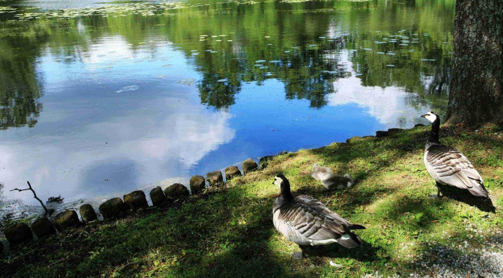 欧洲两个名字相似国家，一大一小，中国人却经常分不清楚！