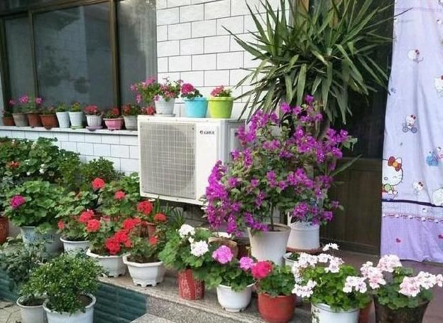  「中招」花一养好，人也变“坏”了，5个“坏习惯”，你们中招了吗？