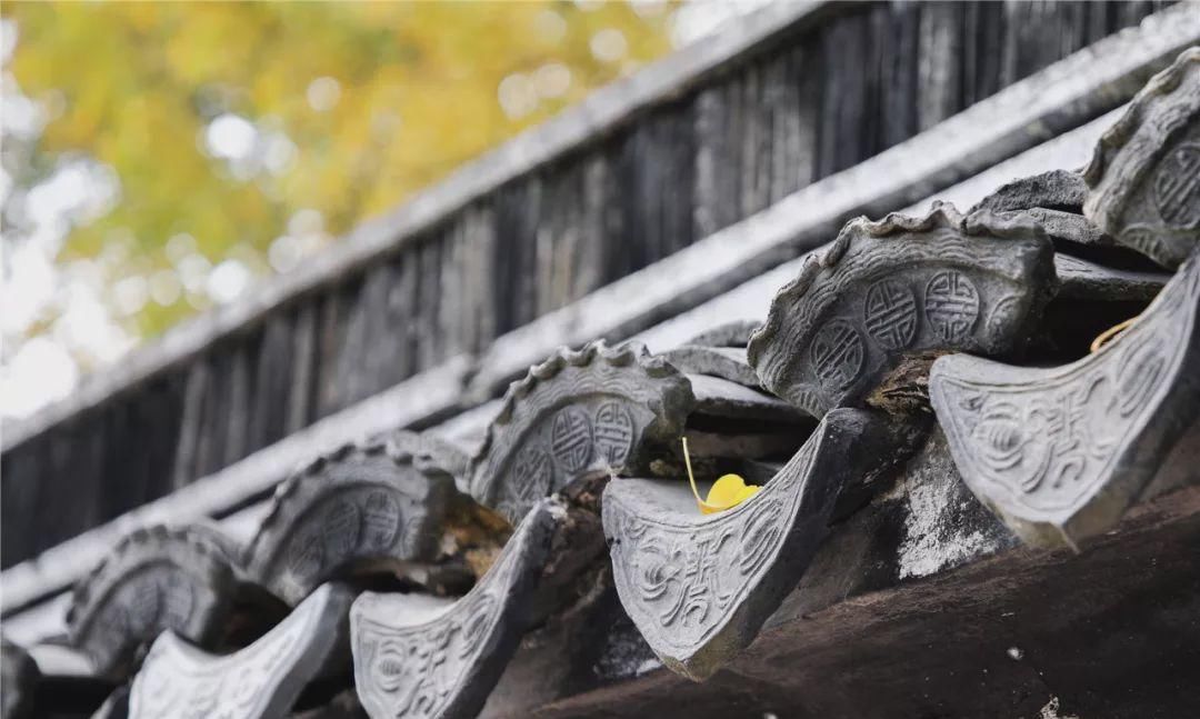 无锡高新区赏叶地图,这里藏着你不知道的最美秋色