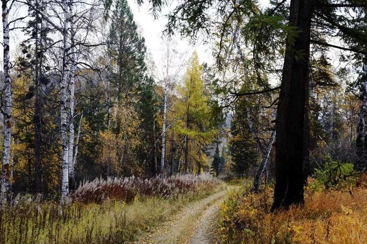 再过半个月,贝加尔湖的秋简直要逼疯摄影师!