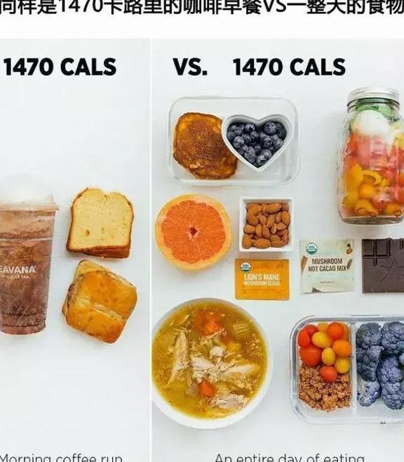 一组图告诉你，为什么吃得多不一定会胖？但吃的少却很容易胖？