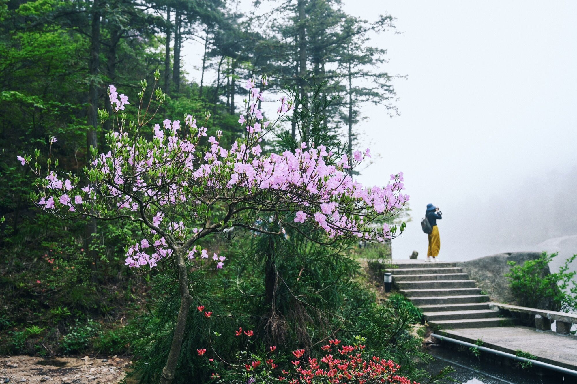 走进北纬30°的天柱山，一处风光秀丽又神秘的地方