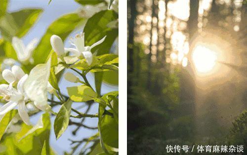  「气质」为什么有些40岁大妈长相一般，却穿出气质与优雅，2个地方做对了