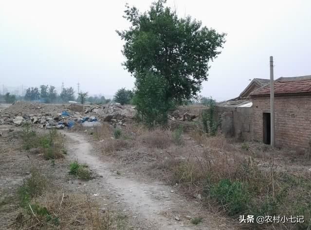 农村成空心，土地被搁置荒芜，农村荒芜的土地该怎么办？