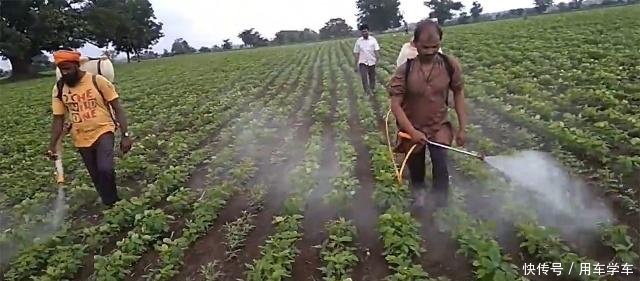 外国小哥发明“自行车”喷雾器，一天能喷20亩地，50元改装一台