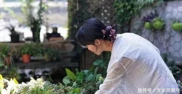  [人间天堂]在阳台搭一个花架, 造一处自己的人间天堂