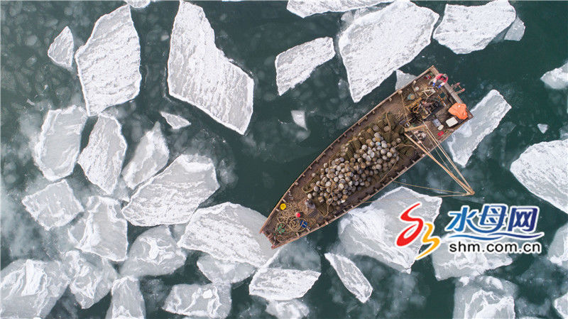 烟台莱州湾海冰初现 渔船在浮冰里穿行(组图)