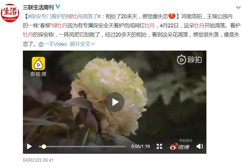  『王城公园』保安专门看护的绿牡丹凋落了，是谁的损失？
