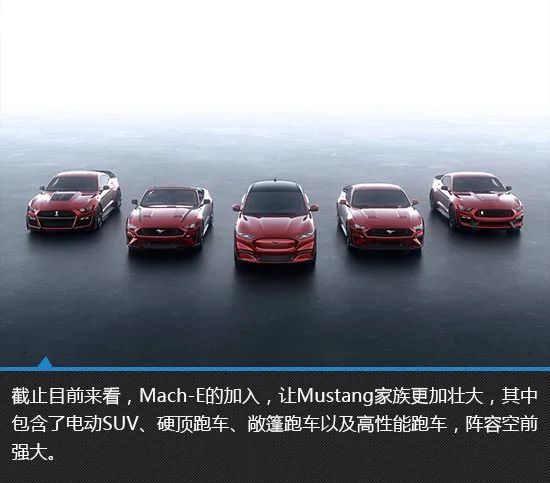  『图解』彰显个性 福特Mustang Mach-E新车图解