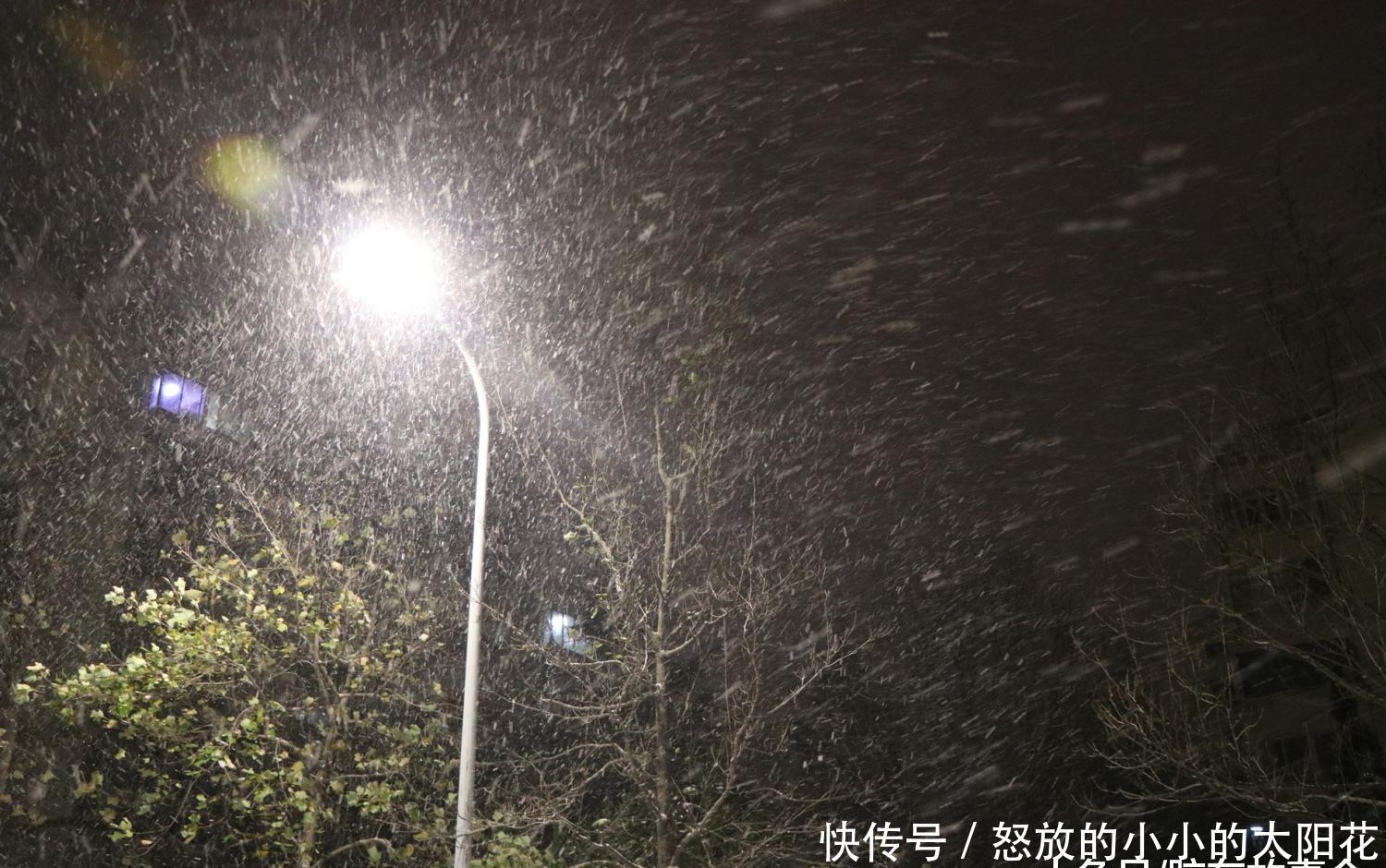 组图： 山东“雪窝子”烟台的夜间雪景, 看看是啥样