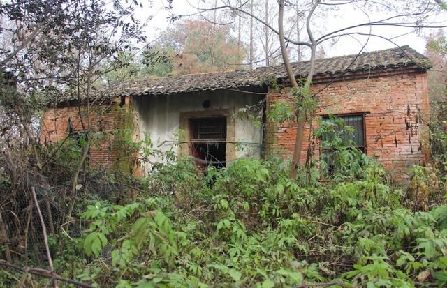 在农村原有宅基地，现是非农户口是否可以回村翻建？答案很简单