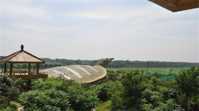 我国最让人哭笑不得的建筑，一个建大闸蟹，一个建大金龟