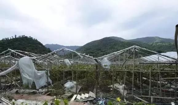 昨晚“利奇马”登录山东都干了什么？真的一天降了9500个大明湖吗