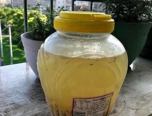  【绿萝】绿萝容易出现黄叶？自制“酸水”，1个月用2次，枝叶茂盛长得快