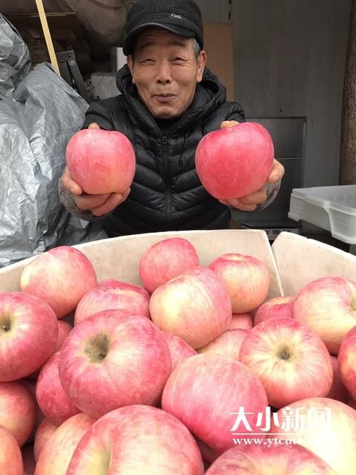  今冬@今冬水果价格比去年低了一大截！砂糖桔10元3斤，85#苹果每