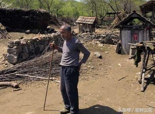 一次性补缴9万,每月领取1000多,专家:为啥农民