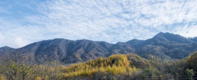 四川最惬意的一座城市，房价不到成都的三分之一，大好风光等你来