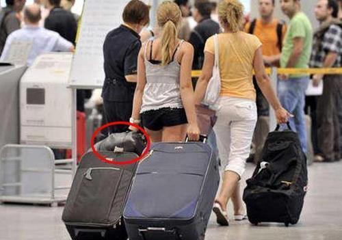 去了香港才发现，拉杆箱不兴了！满大街都这样带，出行太方便