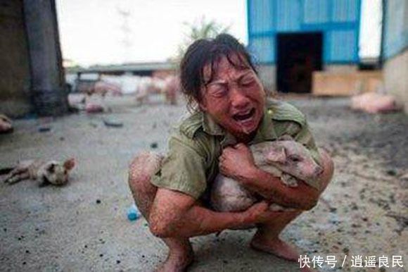 今年养猪，两种人会发财，另一种人将血本无归，养猪人都看看吧！