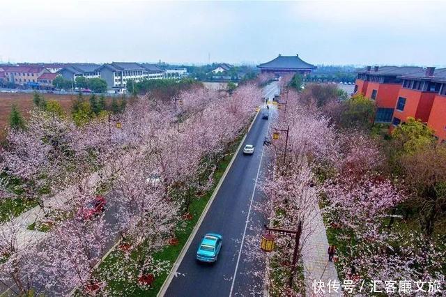 比长沙低调，比苏杭更有味道，她才是公认的世界美食之都