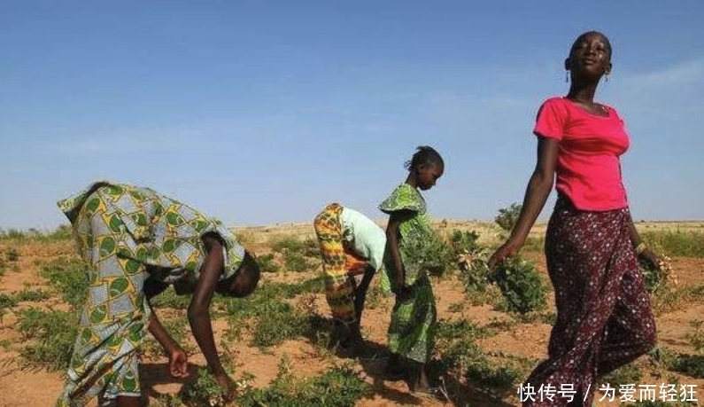 为何非洲人渴死不挖井，饿死不种地？真实原因我们都想错了！