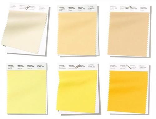  黄色■6种春日黄，显白减龄又时尚！