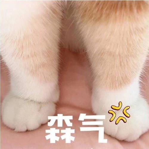  『发型』发型对女生的改变有多大？长短发对比照，看完问我为什么流鼻血！