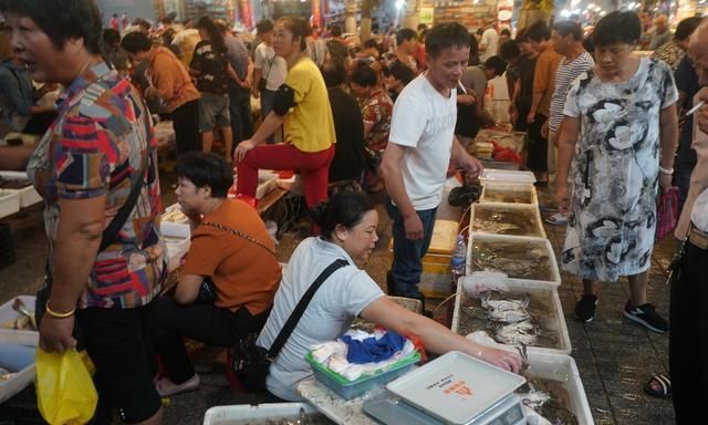 自驾走过广西广东海南,来到福建霞浦三沙,带你看看渔村海鲜价格