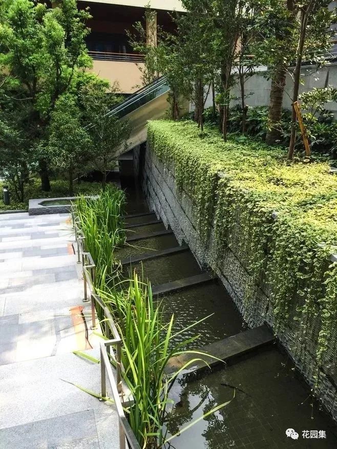 你的花园会呼吸吗？