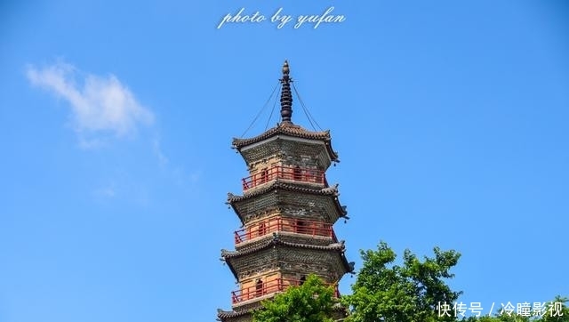  #恐龙蛋化石#世界上恐龙蛋最多的地方竟然就在广东，密密麻麻，