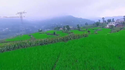  宜宾@四川最适合居住的城市，不是绵阳也不是德阳，你知道哪里吗